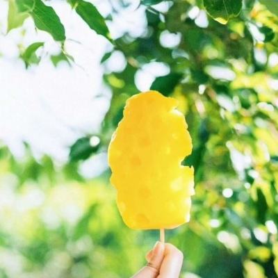 威尼斯软件·下载